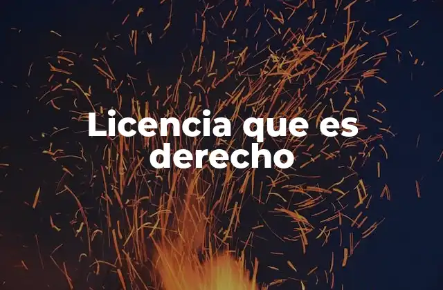 Licencia que es Derecho