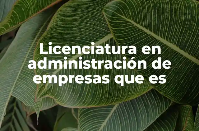 Licenciatura en Administración de Empresas que es