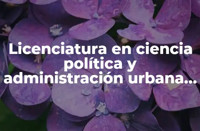 Licenciatura en Ciencia Política y Administración Urbana que es