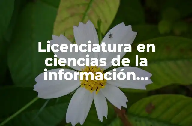 Licenciatura en Ciencias de la Información Documental que es