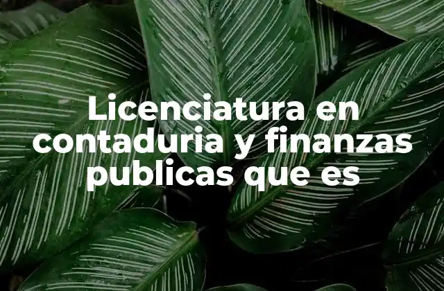 Licenciatura en Contaduria y Finanzas Publicas que es