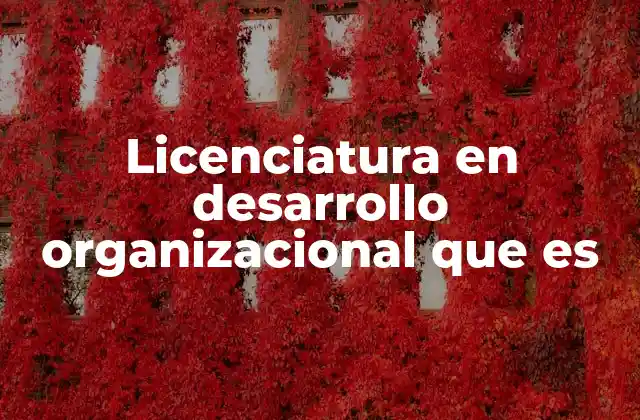 Licenciatura en Desarrollo Organizacional que es