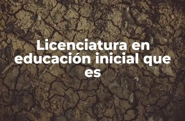 Licenciatura en Educación Inicial que es