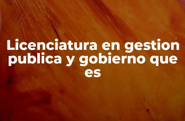 Licenciatura en Gestion Publica y Gobierno que es