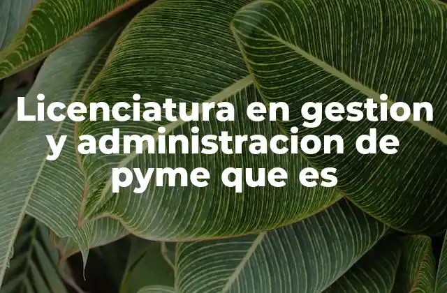 Licenciatura en Gestion y Administracion de Pyme que es