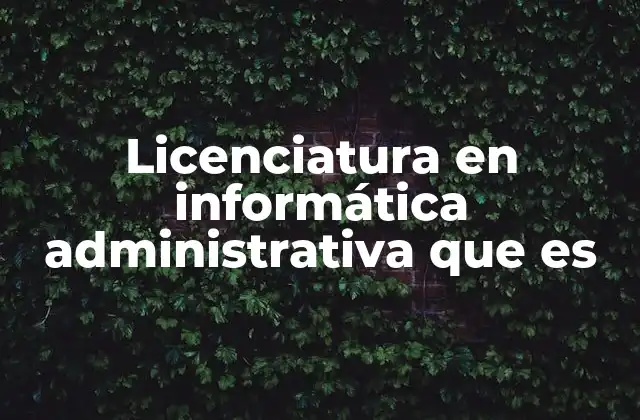 Licenciatura en Informática Administrativa que es