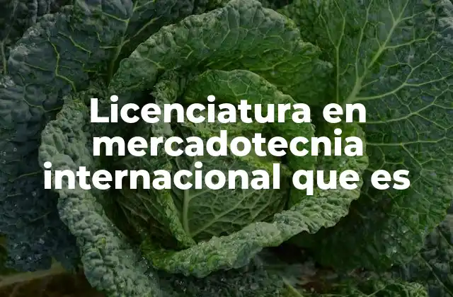 Licenciatura en Mercadotecnia Internacional que es
