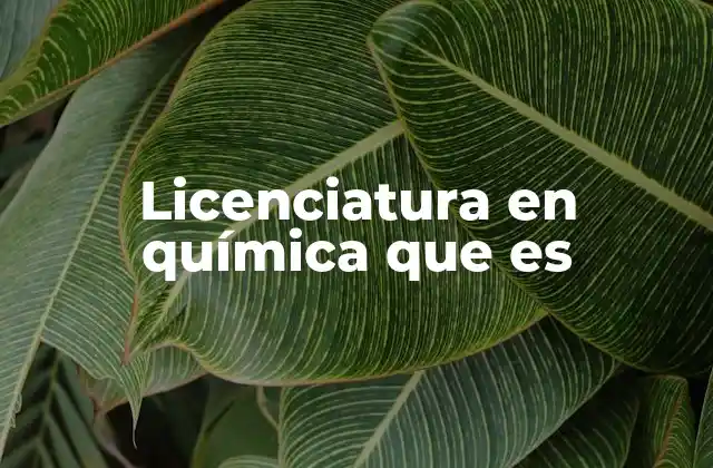 Licenciatura en Química que es