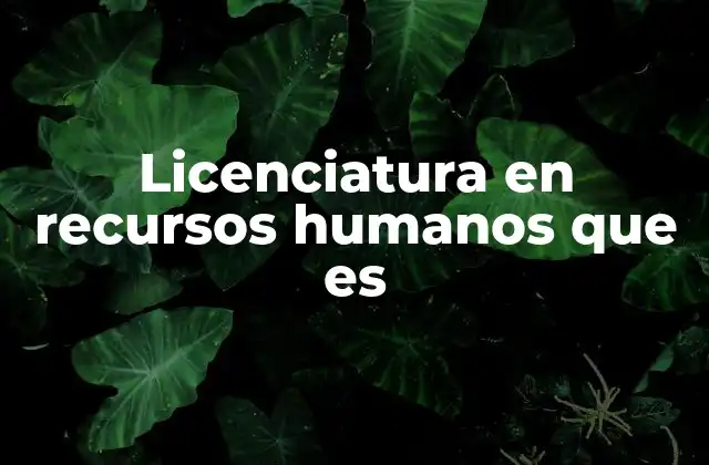 Licenciatura en Recursos Humanos que es