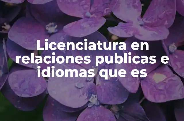 Licenciatura en Relaciones Publicas e Idiomas que es