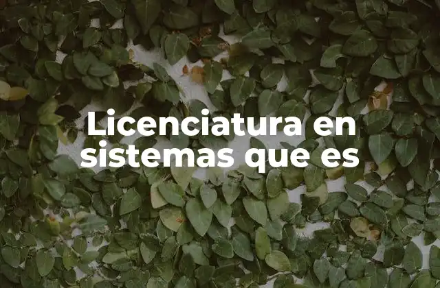 Licenciatura en Sistemas que es