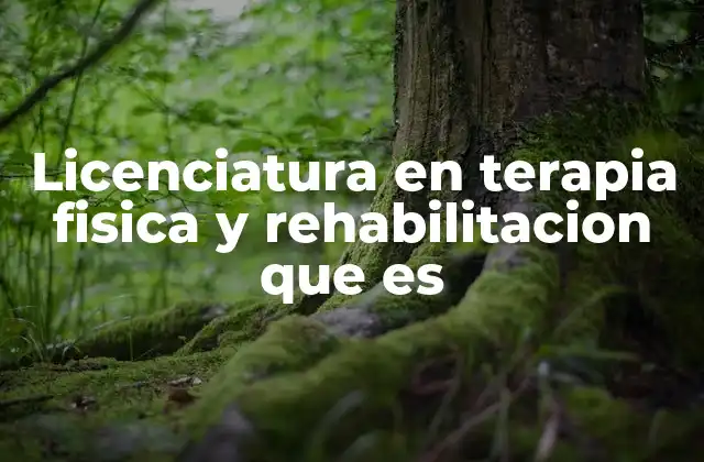 Licenciatura en Terapia Fisica y Rehabilitacion que es