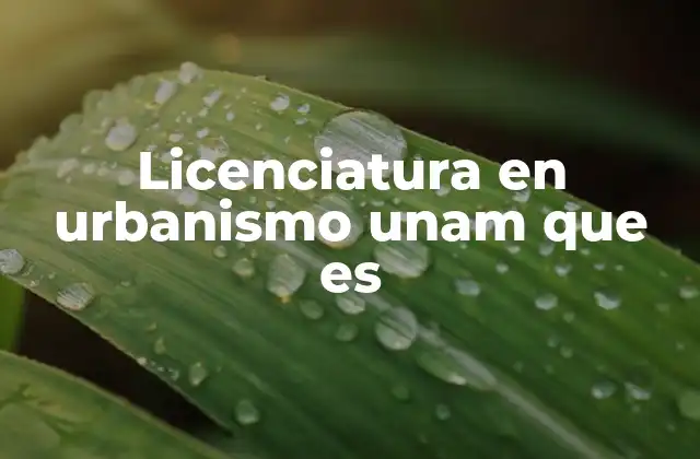 Licenciatura en Urbanismo Unam que es