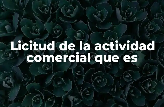 Licitud de la Actividad Comercial que es