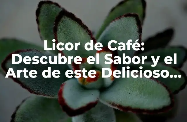 Licor de Café: Descubre el Sabor y el Arte de Este Delicioso Líquido