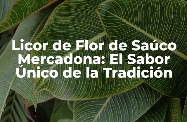 Licor de Flor de Saúco Mercadona: el Sabor Único de la Tradición