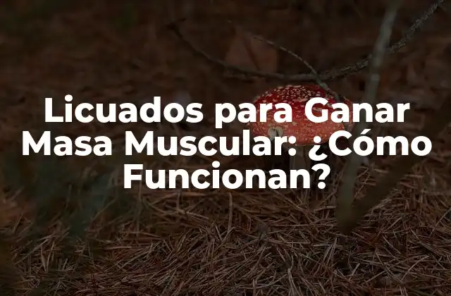 Licuados para Ganar Masa Muscular: ¿cómo Funcionan? 2 ¿Qué son los Licuados para Ganar Masa Muscular?