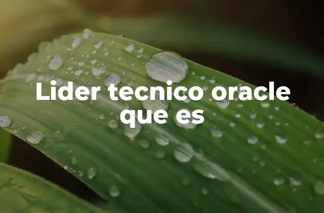 Lider Tecnico Oracle que es