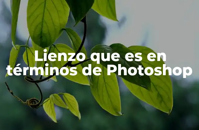 Lienzo que es en Términos de Photoshop