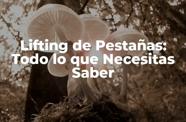¿Qué es el Lifting de Pestañas?