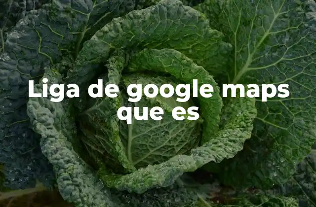 Liga de Google Maps que es