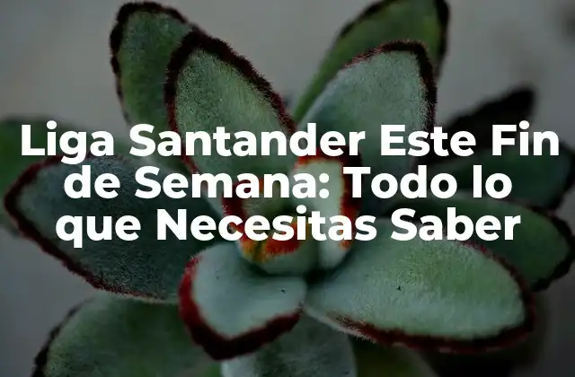 Partidos Destacados de la Liga Santander Este Fin de Semana