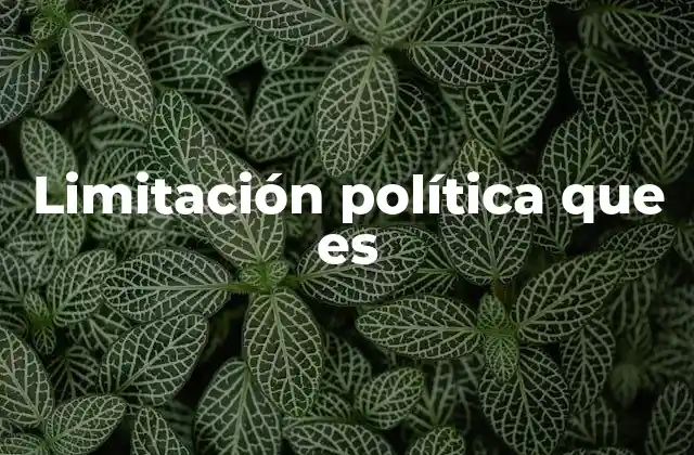 Limitación Política que es