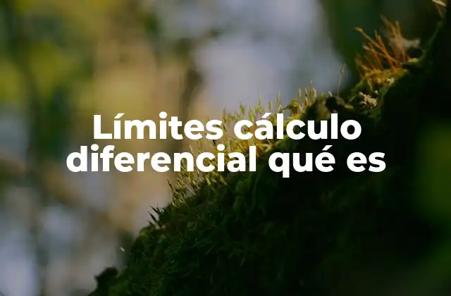 Límites Cálculo Diferencial Qué es