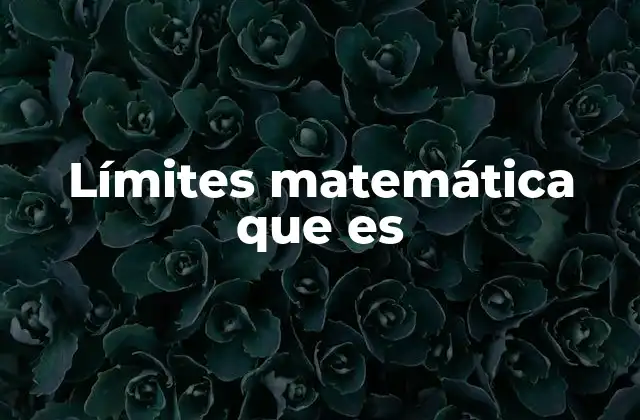 Límites Matemática que es
