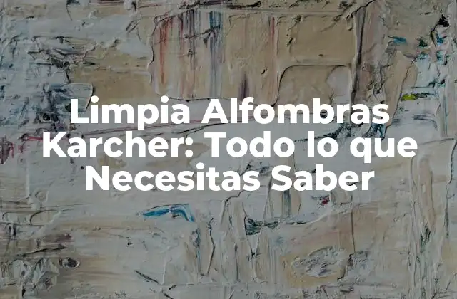 Limpia Alfombras Karcher: Todo Lo que Necesitas Saber
