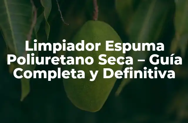 Limpiador Espuma Poliuretano Seca – Guía Completa y Definitiva