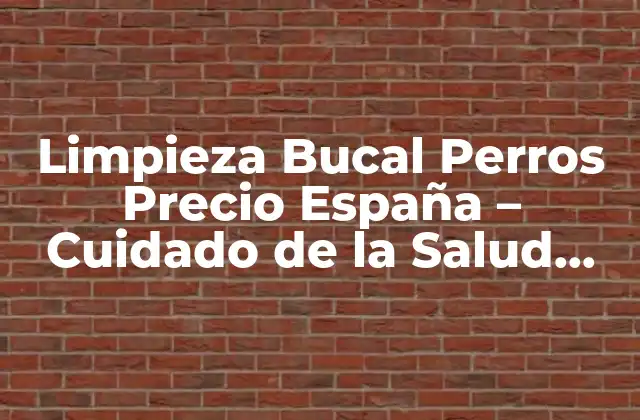 Limpieza Bucal Perros Precio España – Cuidado de la Salud Dental de Tus Mascotas