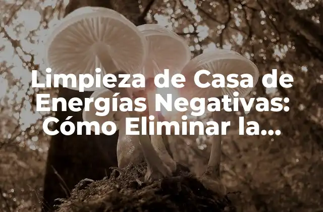 Limpieza de Casa de Energías Negativas: Cómo Eliminar la Negatividad de Tu Hogar