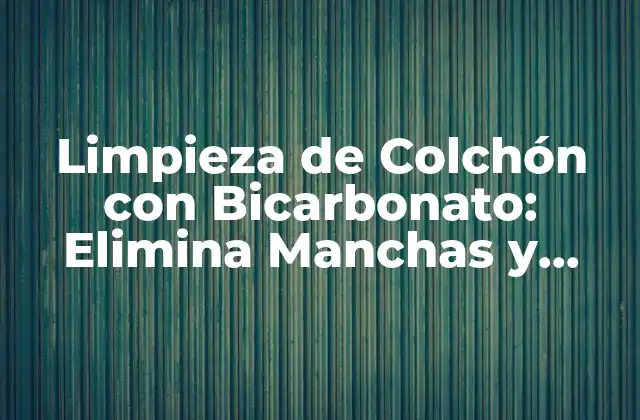 Limpieza de Colchón con Bicarbonato: Elimina Manchas y Olores de Forma Natural