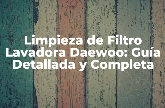 Limpieza de Filtro Lavadora Daewoo: Guía Detallada y Completa