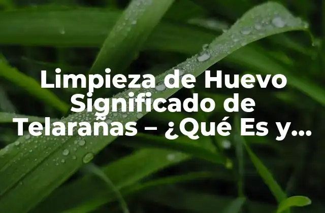 Limpieza de Huevo Significado de Telarañas – ¿qué es y Cómo Funciona?