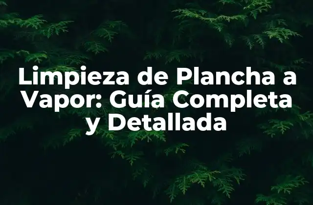 Limpieza de Plancha a Vapor: Guía Completa y Detallada