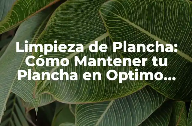 Limpieza de Plancha: Cómo Mantener Tu Plancha en Optimo Estado