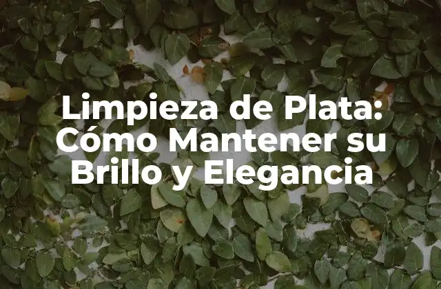 Limpieza de Plata: Cómo Mantener Su Brillo y Elegancia 2 ¿Por qué es Importante la Limpieza de Plata?