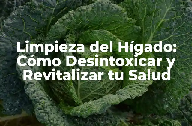 Limpieza Del Hígado: Cómo Desintoxicar y Revitalizar Tu Salud