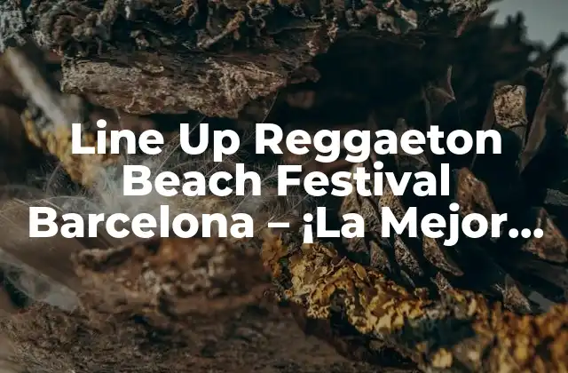 Line Up Reggaeton Beach Festival Barcelona – ¡la Mejor Fiesta de Verano!