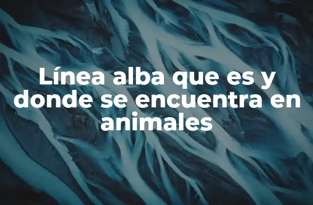 Línea Alba que es y Donde Se Encuentra en Animales