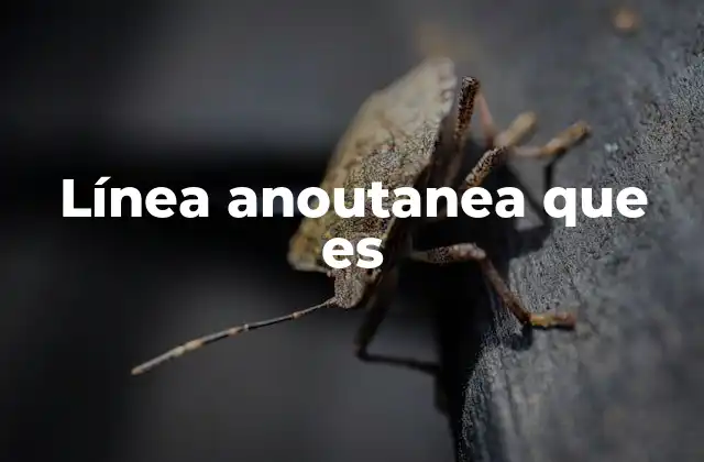 Línea Anoutanea que es