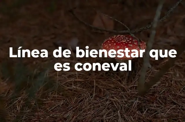 Línea de Bienestar que es Coneval
