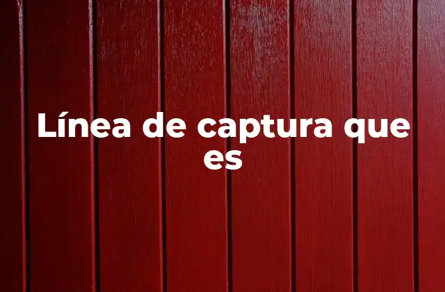 Línea de Captura que es