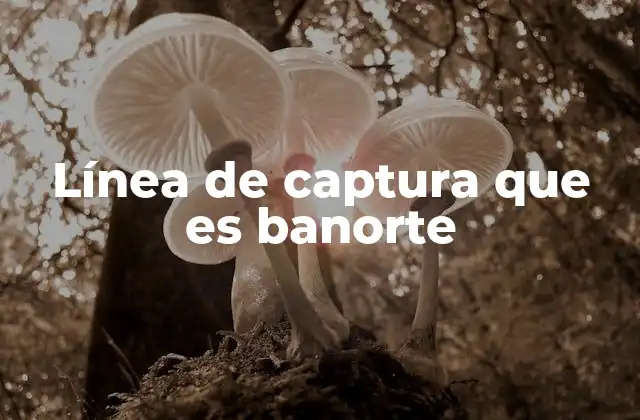 Línea de Captura que es Banorte