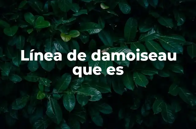 Línea de Damoiseau que es