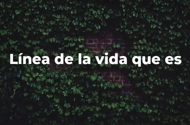 Línea de la Vida que es