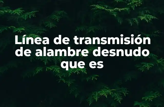 Características y componentes de las líneas de transmisión con alambre desnudo