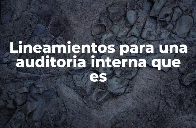 La importancia de contar con una estructura clara en las auditorías internas